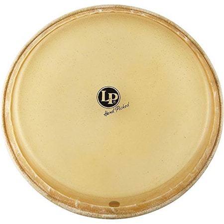 Drum Workshop 12.5 in. Mounted Tumbadora Head LP265C